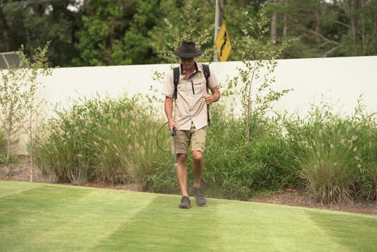 Don't Ignore Your Lawn in Winter