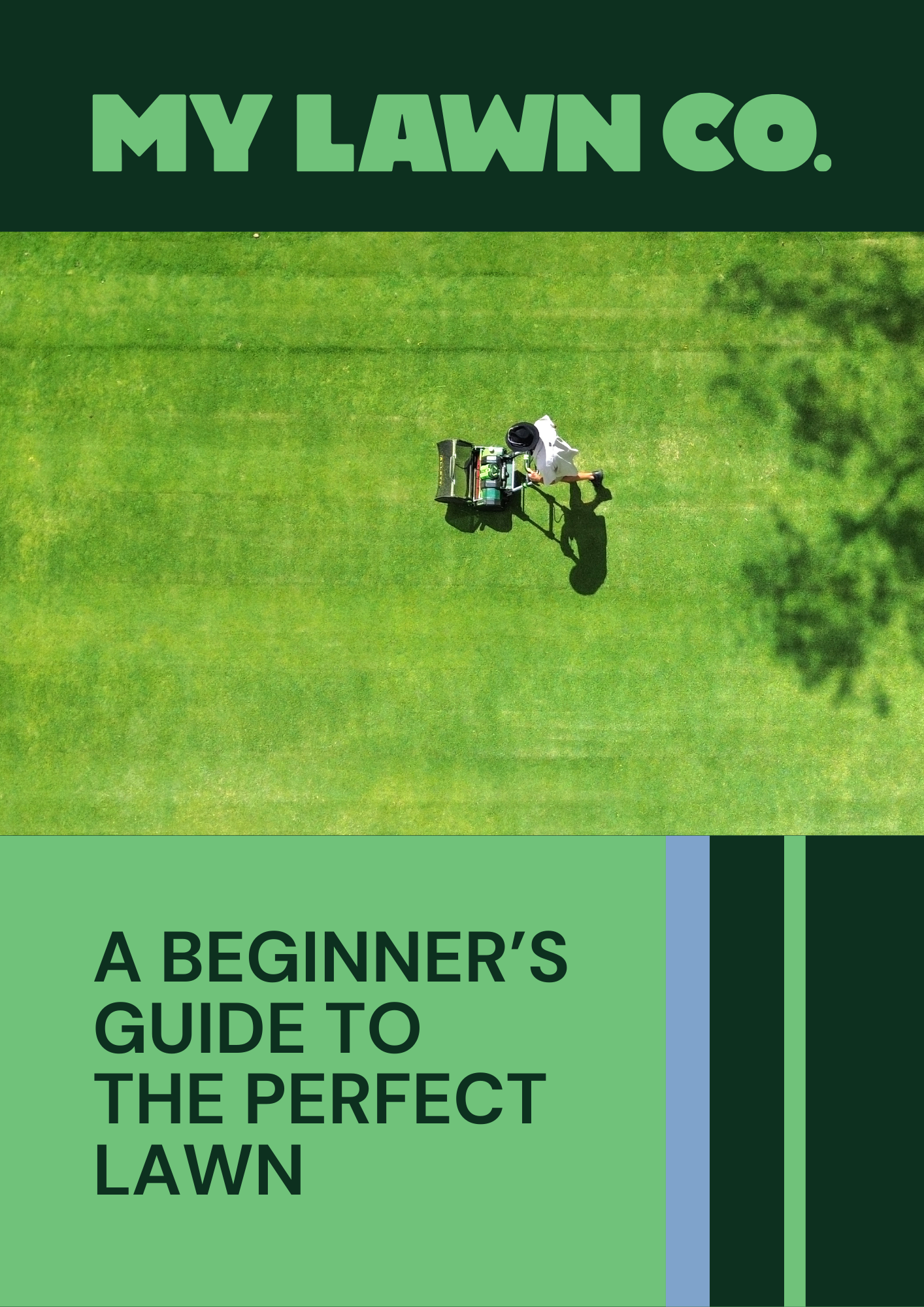 A Beginners Guide to the Perfect Lawn