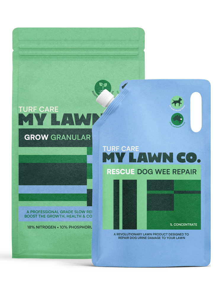 <p>Why You’ll Love This Bundle</p>