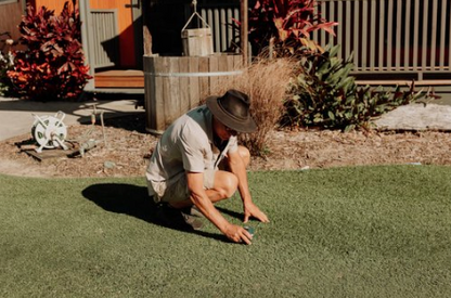 The Ultimate Lawn Program - A Yearly Lawn Care Program